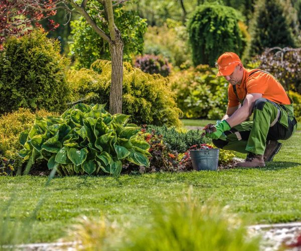 Professional Garden Worker