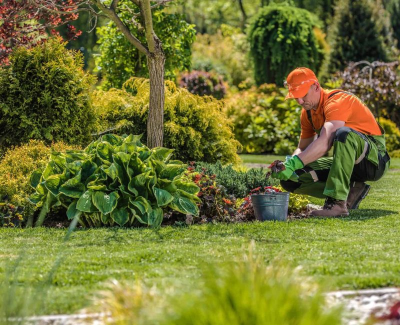 Professional Garden Worker